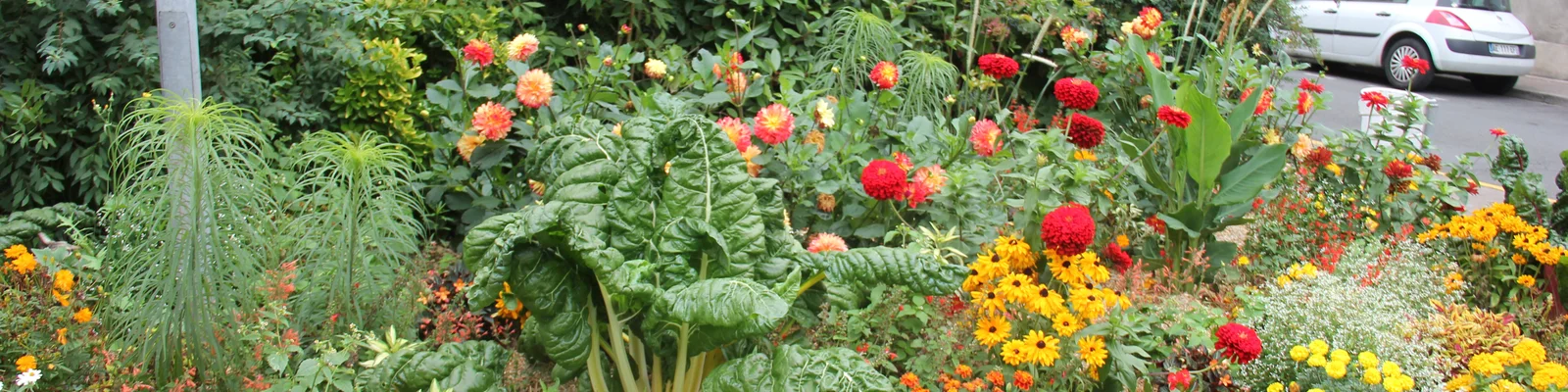 Fleurissement Mehun