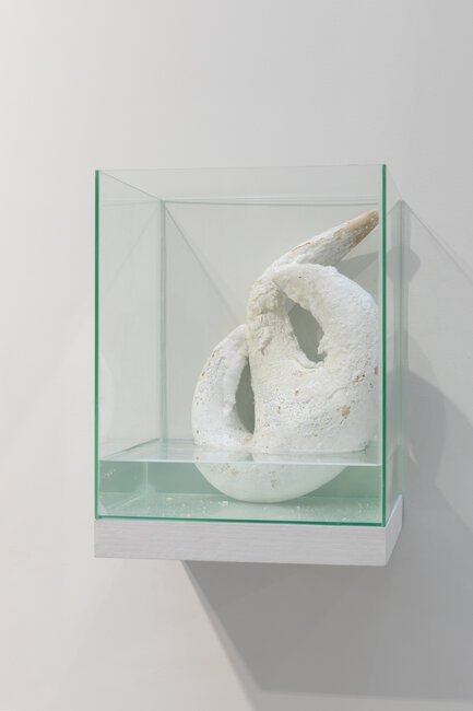 Lise Thiollier, This desert was once a sea, 2021 - Crédit : Alexandra de Cosette