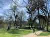 Vignette